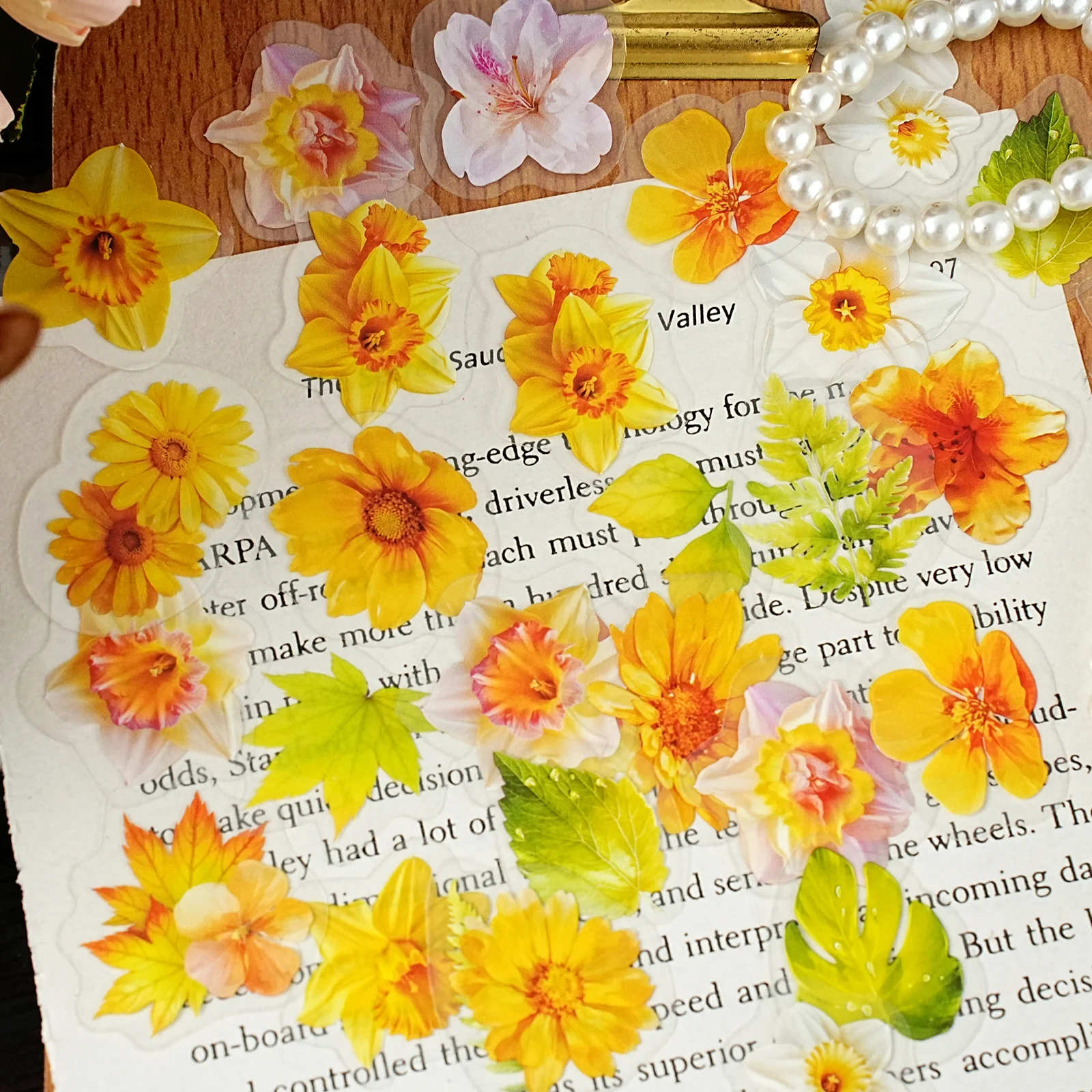 Etori Life Ciepłe i Jasne Żółte Naklejki Akwarelowe z Kwiatami 50 szt. Chryzantemy z Zielonymi Liśćmi do Laptopa, Telefonu, Albumów Fotograficznych, Dekoracji Biurka, Papierowe Torby na Prezenty, Opakowania na Pudełka Prezentowe, Dekoracji Pokoju, Artykułów Szkolnych, Imprezy Artystyczne, Naklejki Zabawki, Prezenty dla Przyjaciół