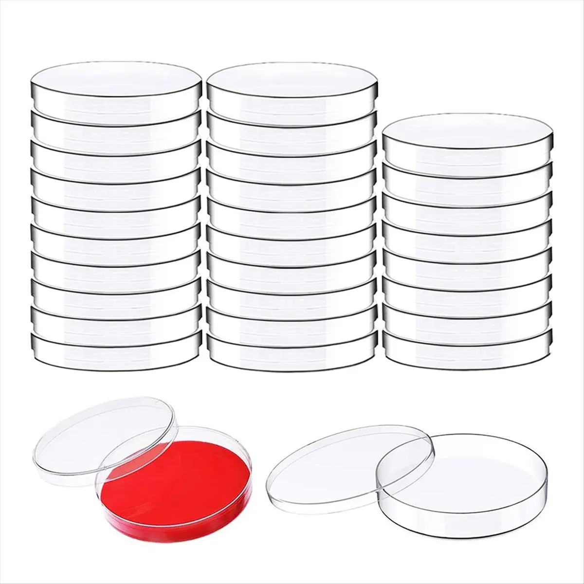 Budget-Friendly-30 Pack Plastic Petri Dish with Lids,90 X 15mm Bioresearch Sterile Petri Dish,Culture Dishes for School Science