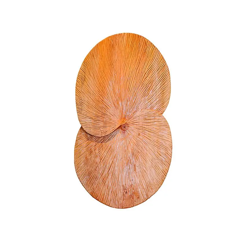 

Creative Handmade Art Wood Ornament High-end Hotel Carving Wood Art Decoration
