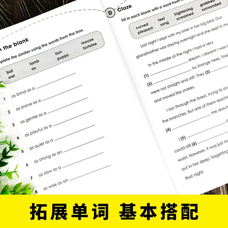 2023 novo domínio inglês vocabulário1-3 grau singapura gramática spa materiais de aprendizagem de inglês para crianças de 7 a 12 estudantes