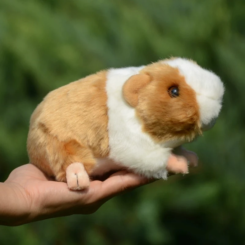 Cute Animal Guinea Pig Plush Toy Simulation Dutch Pig Animals Toy Hamster Toy Model Children's gift Decoration 20x10cm DY10460