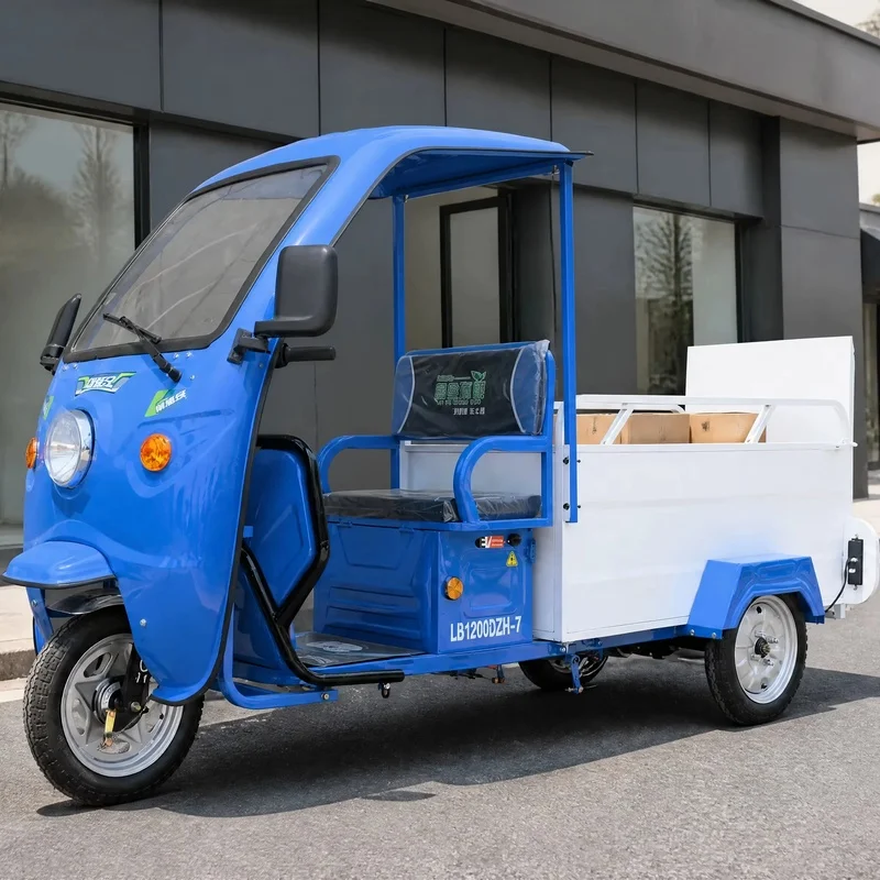 Blue 1200W Cargo Tricycle with Roof Three Wheel Open Box Motorcycle Adult Delivery Farm Use