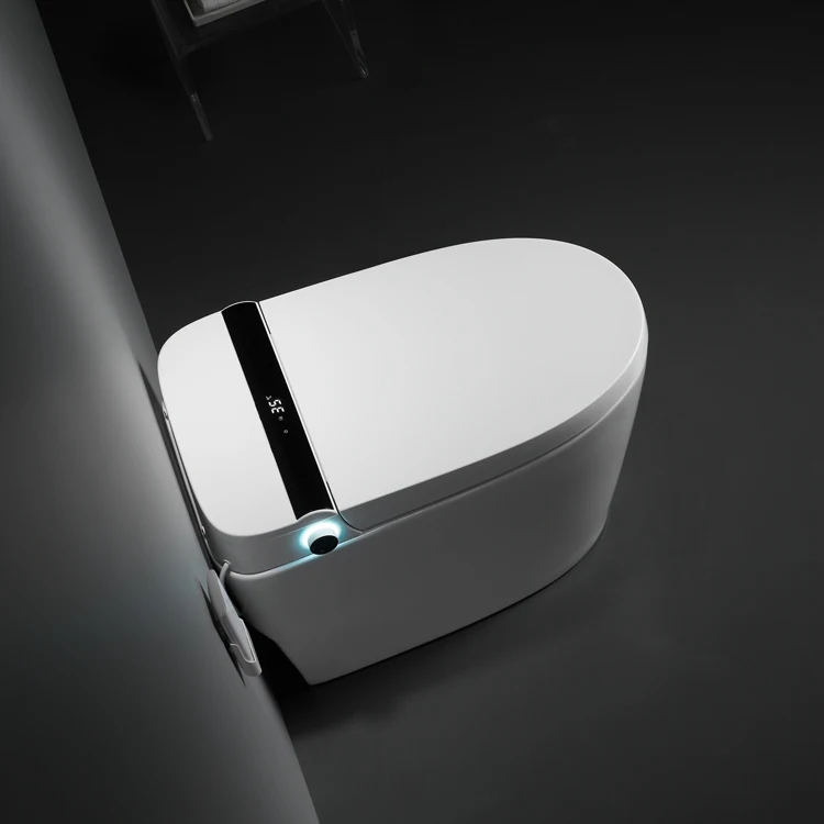 Sinking Water Tank Automatic Function Intelligent Ceramic Smart Toilet