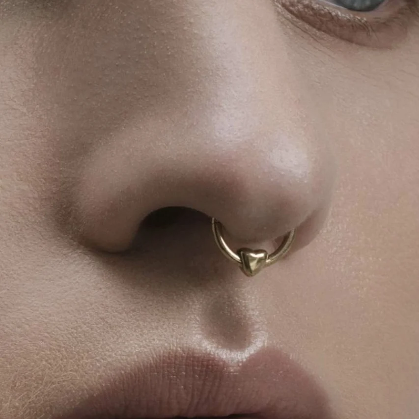 ASTM F136 Titan Herz-Clicker Septum Piercing 16G Daith Helix Ohrring Piercing 2026 Neue Nasenringe Eloxierte Körperschmuckstücke – Detail 6