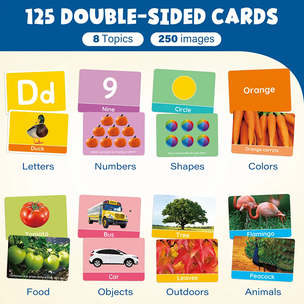 Schede flash per i più piccoli, Flashcard educative fronte-retro, Numero dell'alfabeto, Regalo di attività di apprendimento in età prescolare per Natale