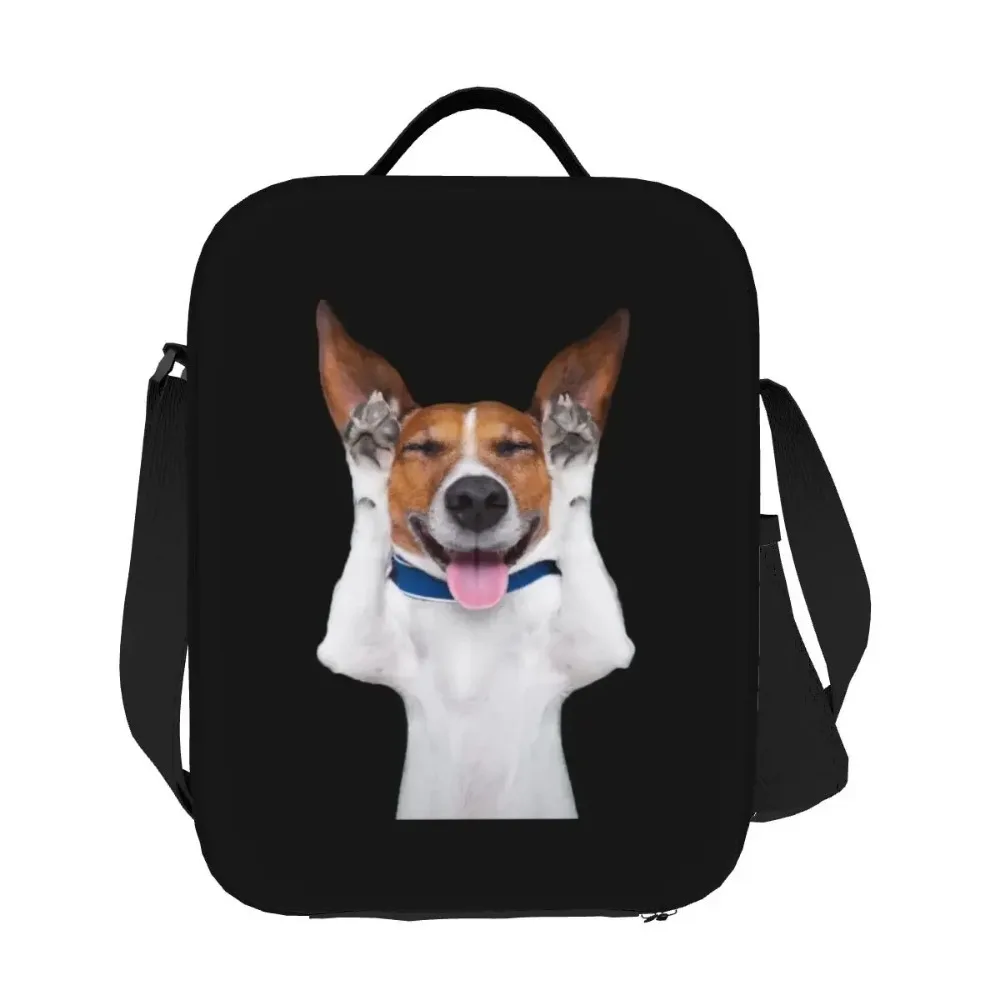 Divertente Jack Russell Terrier Meme Borsa per il pranzo da donna Borsa per il pranzo termica isolata per bambini in età scolare