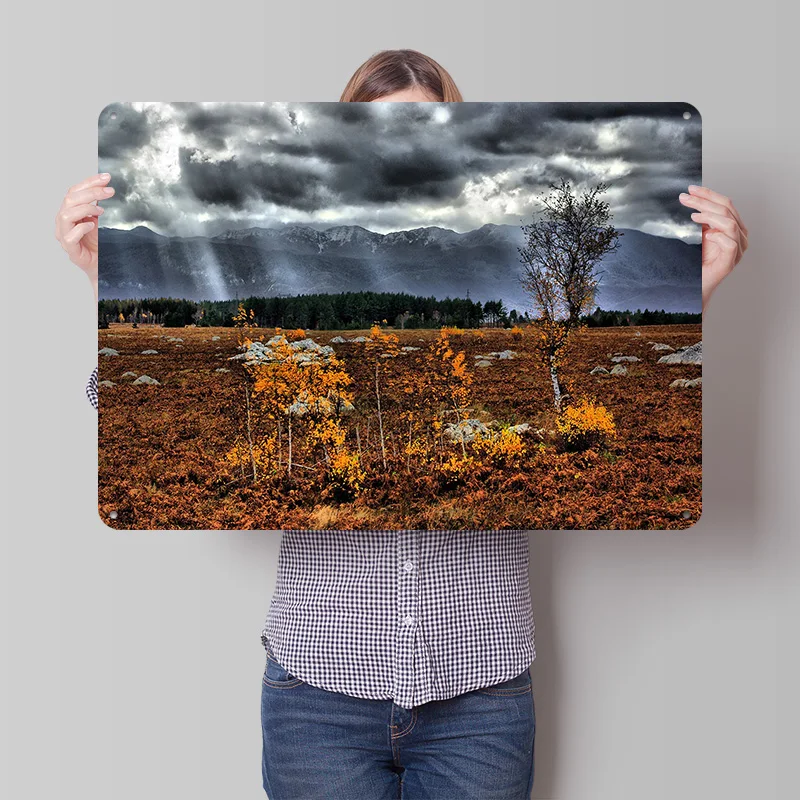 Somebody Up There Personalized 3D Textured Metal Poster Wall Art Vintage Tin Signs for Luxury Decoration Home Decor Accessories