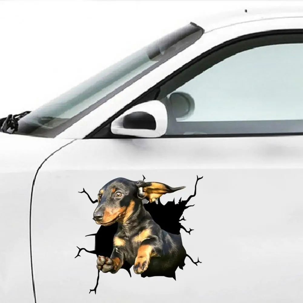 Car Funny Stickers Simulation Pet Crack Design 3D Effect Decorate Eye-catching 3D Simulation Cute Car Window Sticker for Auto