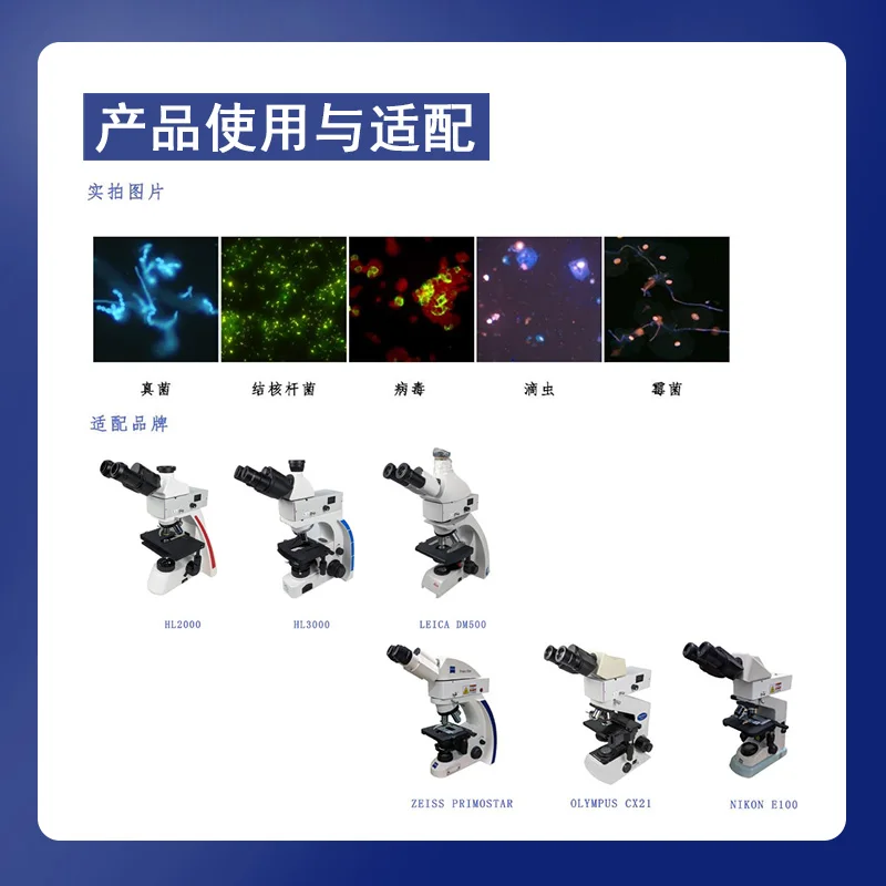 Microscope for pets with upright fluorescence attachment