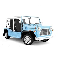 Customized Color Chinese Product Vintage Classic Moke Car Travel Electric Sightseeing Car E Moke Jeep