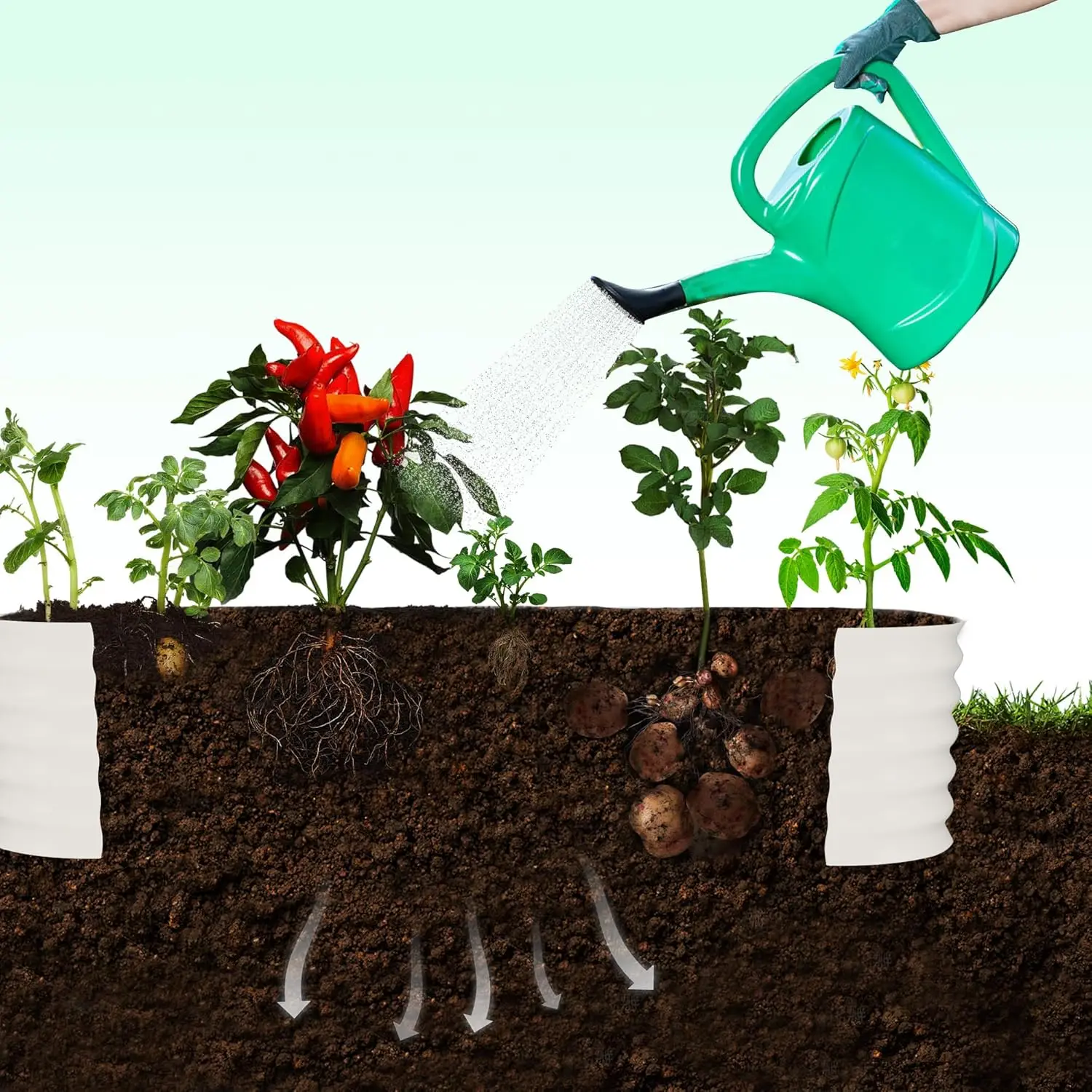 Plantador de jardim elevado em treliça arqueada - 95 polegadas de altura para jardinagem vertical de vegetais e flores