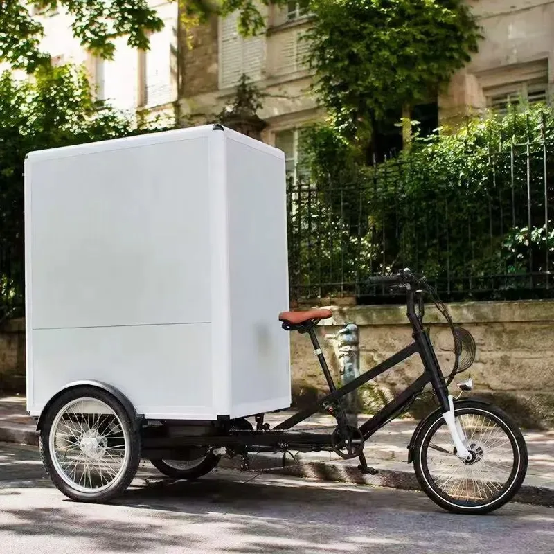 Minivan bicycle, quad bicycle, electric scooter, electric freight bicycle, tricycle, powerful electric express bicycle