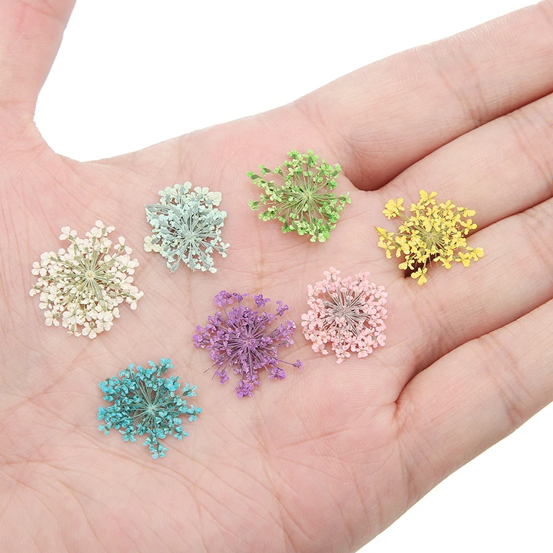 2 قطعة/صندوق لون عشوائي الطبيعية المجففة زهرة ليف الراتنج لوازم حشوات زهرة لمسمار سكرابوكينغ الديكور صنع المجوهرات