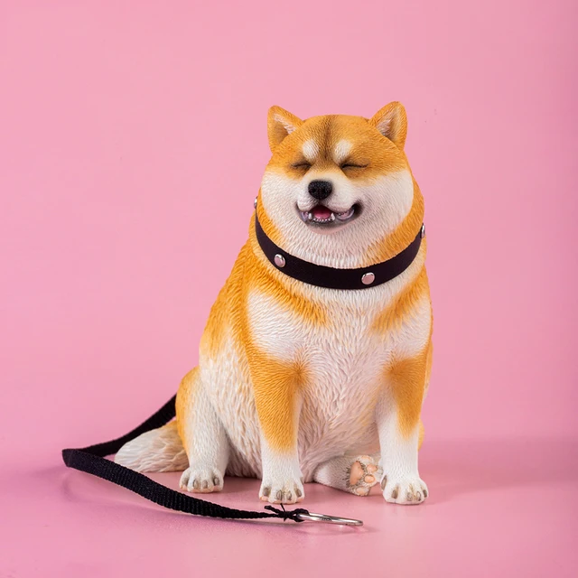 Thick fashion shiba