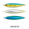 C2