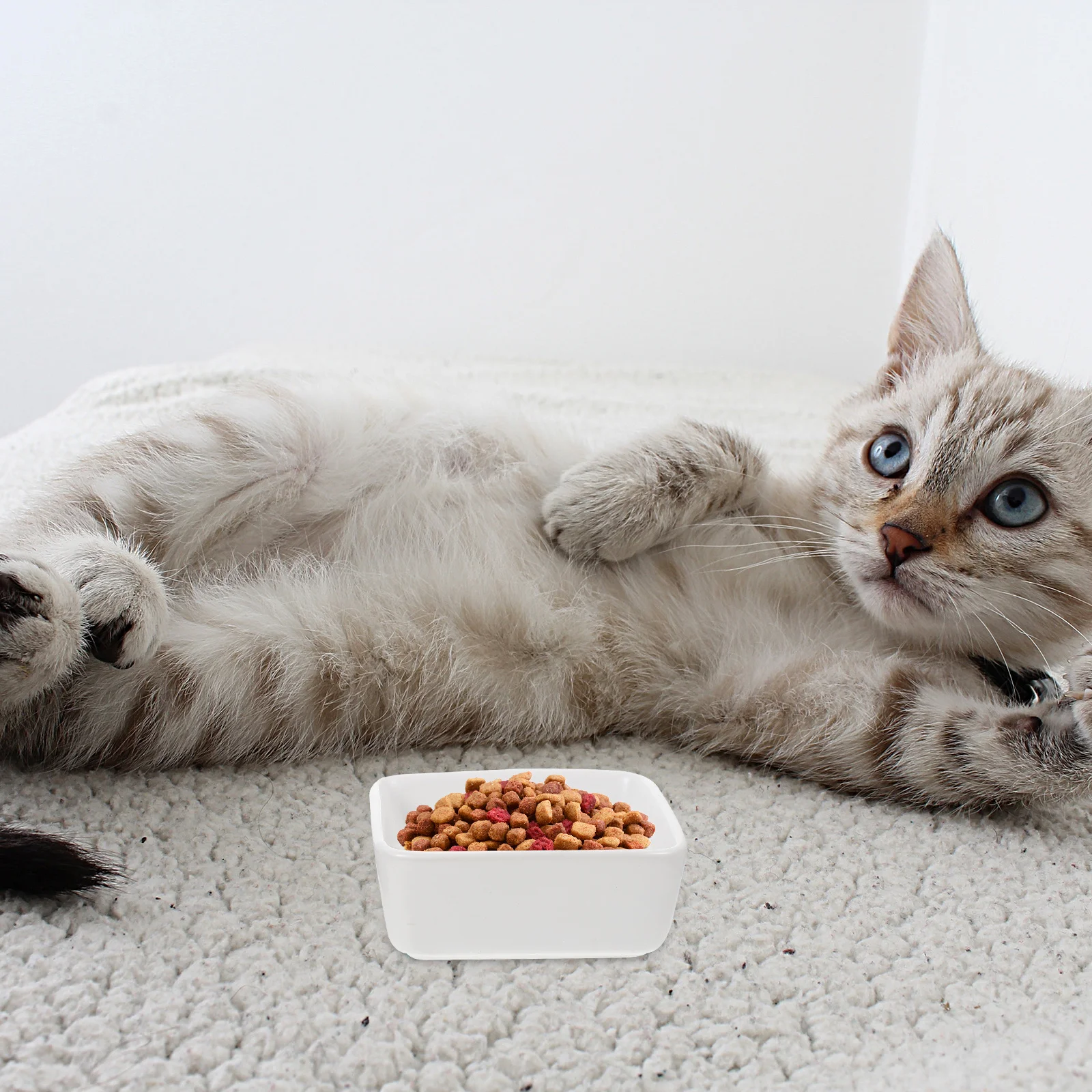 

1Set Unique Design Pet Feeder Bowl Set Wooden Tray Included for Cats Dogs Anti-Overturn Easy to Clean Pet Feeding Bowl