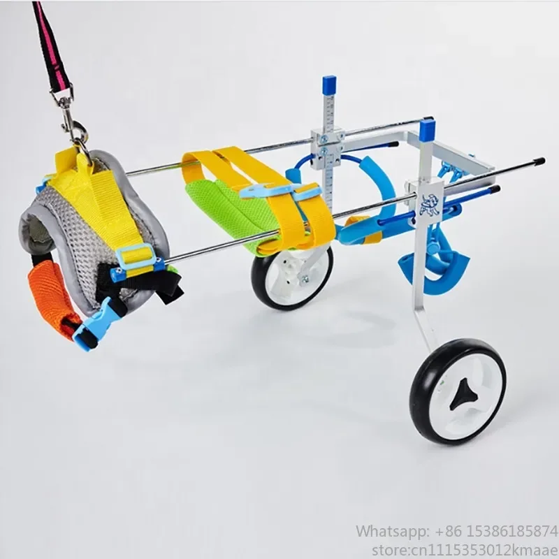 Veterinary Dog – Vet-Approved Mobility Support Device at Factory Price