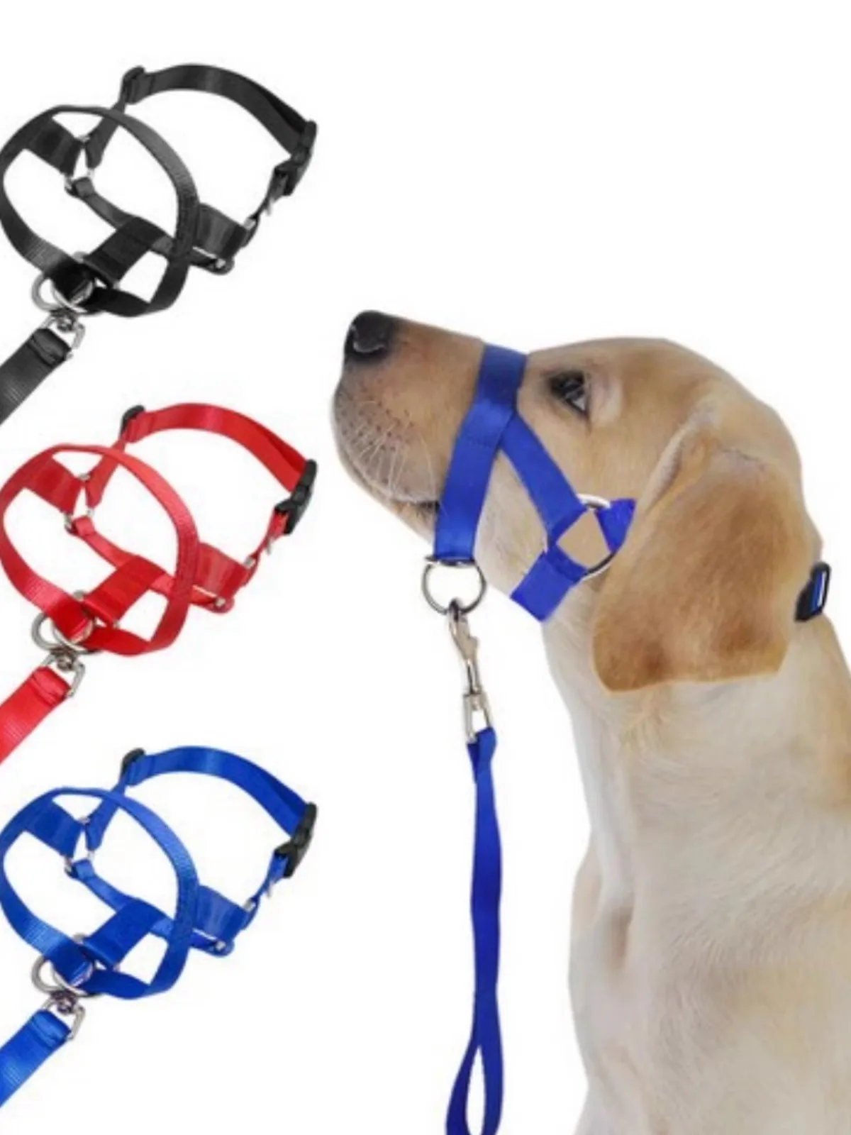 حلقة أنف جديدة حول الفم كمامة الكلب قابلة للتعديل مستلزمات الحيوانات الأليفة تمنع الكلاب من تناول الطعام بشكل عشوائي يمنع العض عشوائيًا #1