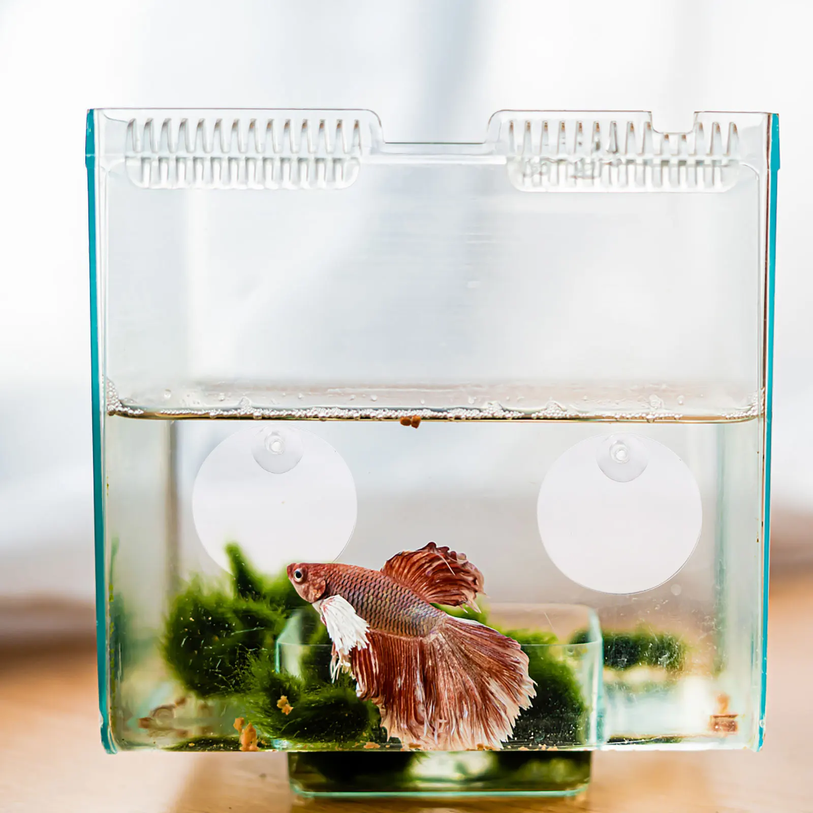 

10pcs Betta Fish Mirror Acrylic Teasing Toy for Aquarium Tank Decor Sports Long Time Use Safe Water Proof