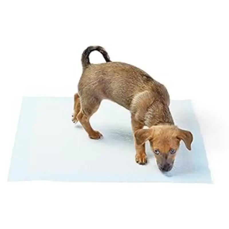 Disposable Pet Training Pads Super Absorbent Core: 20-100 PCS Leak Proof Edges Puppy Cats Dogs