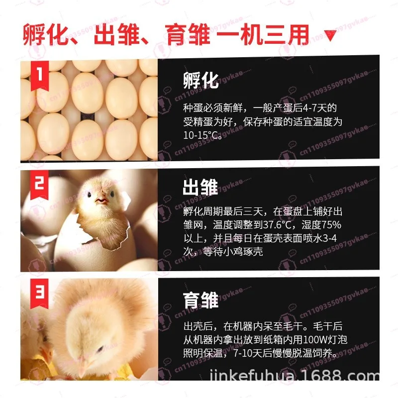 Portable Household Egg Incubator Small Hatcher for Chicken Quail Eggs Poultry Farming Equipment