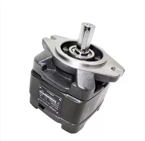 

China Oil Pump Manufacturer Sells Internal Gear Pump for Injection Molding Machine