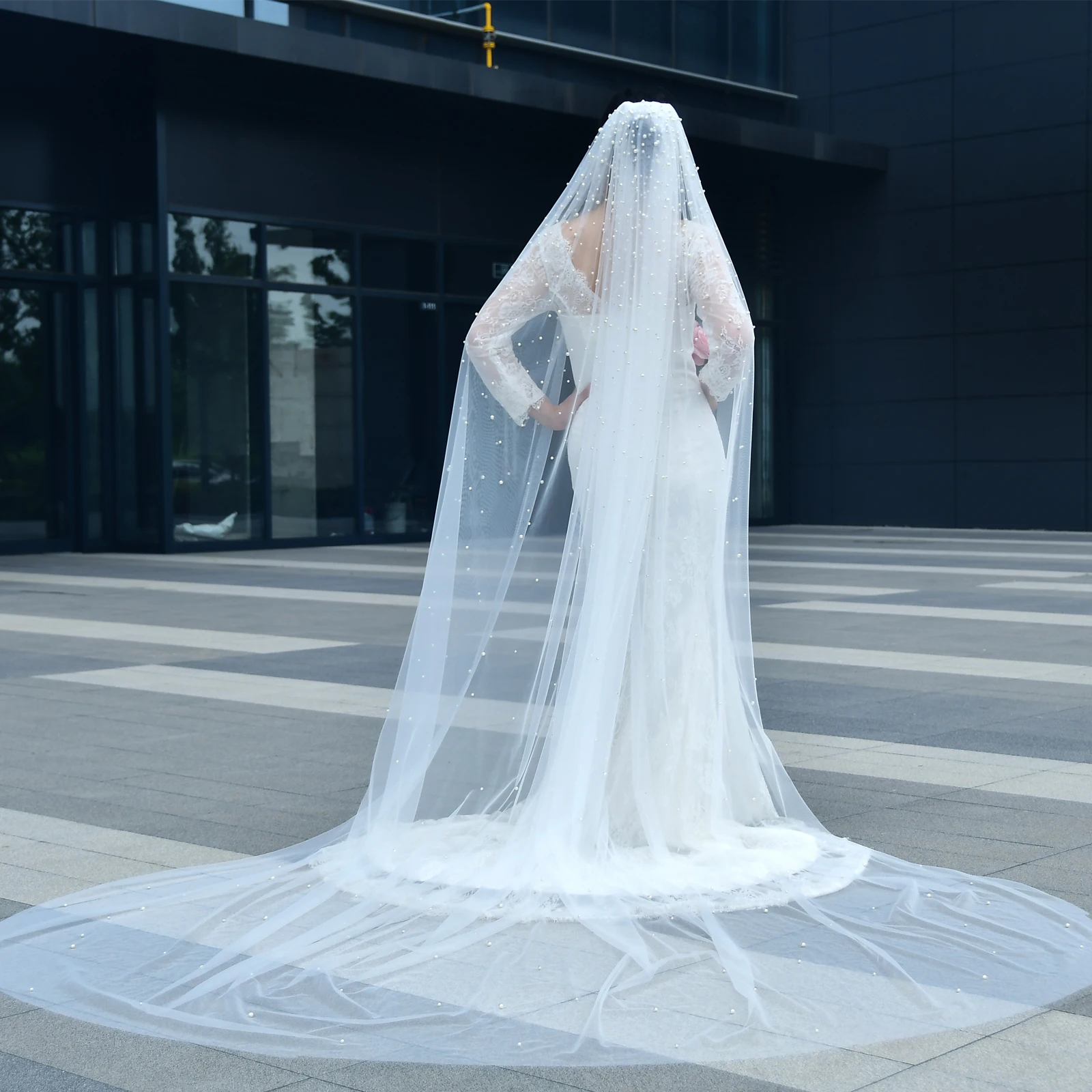 V139a Luxury Bridal Veils Beaded Wedding Veils Extra Long Royal Cathedral Length Veil 3M Wide with Comb Wedding Accessories