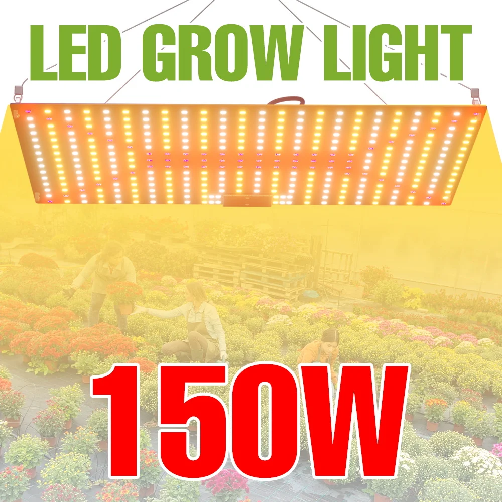 

250W Full Spectrum Plant Grow Light LED Quantum Board Seedlings Cultivation Lamp 220V Greenhouse Tent Hydroponic Fill Lighting