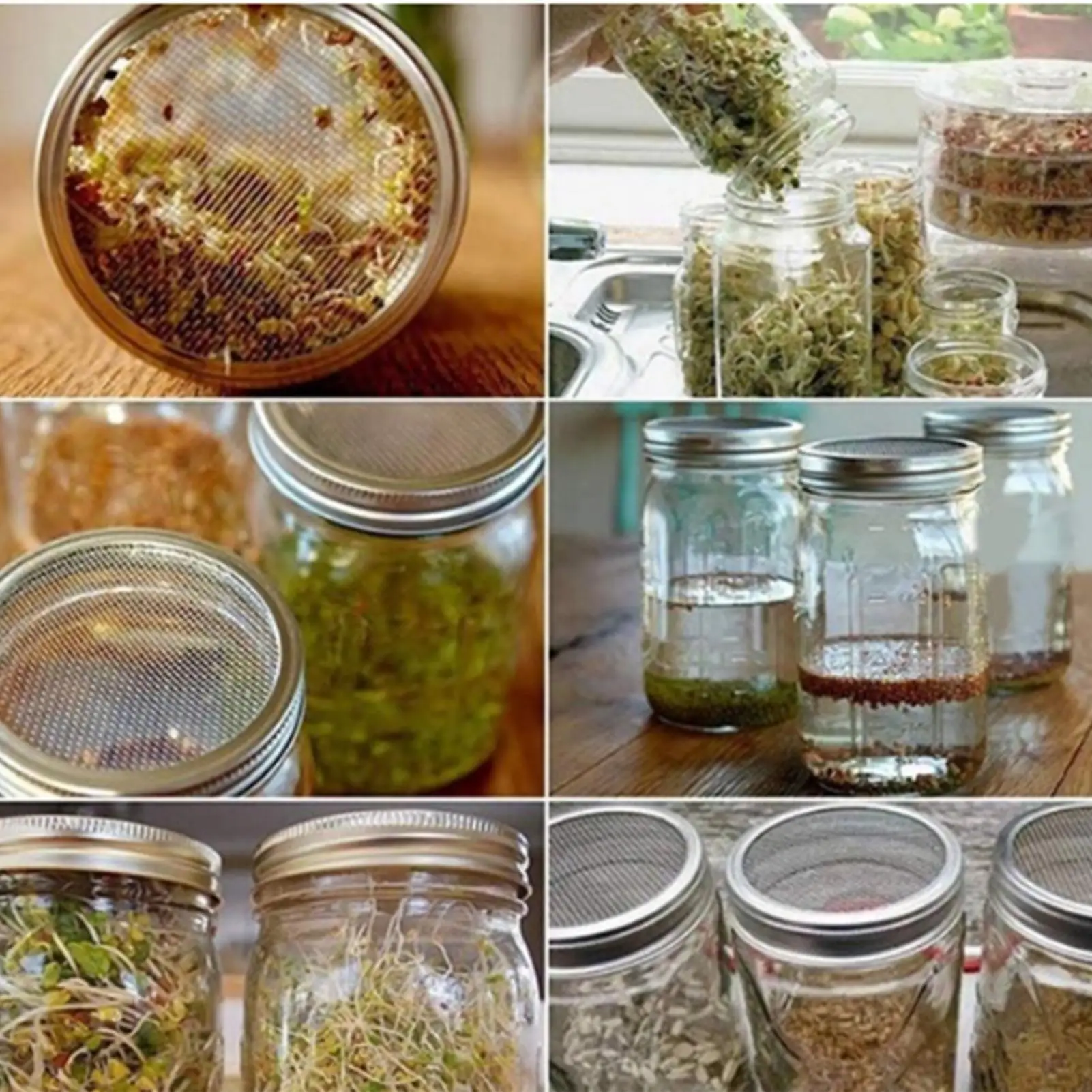 

Sprouts Growing Jar With Stainless Steel Screen Lids Wide Mouth Multi Jar Sprouting Kit Set For Home Kitchen Living Room Balcony
