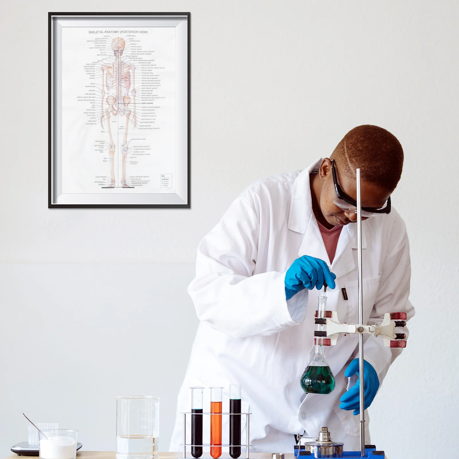 Cartaz de anatomia humana grande sistema esquelético papel kraft para decoração de festa em casa presente de ensino