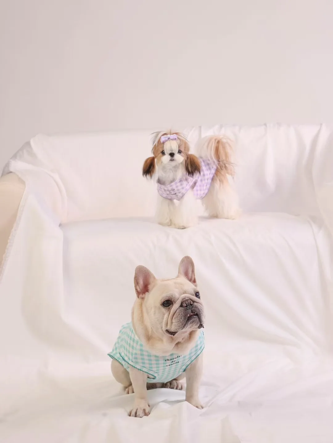 

Cute Candy-Colored Checkered Cotton Breathable Short-Sleeved Vest For Cats And Dogs