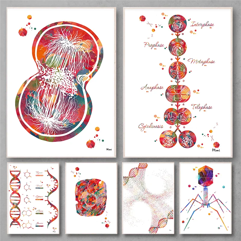 Stampa Astratta Del Dna Doppia Elica Acquerello Genetica Poster Biologia Medica Lab Decorazione Della Parete Anatomia Scienza Arte Illustrazione-image