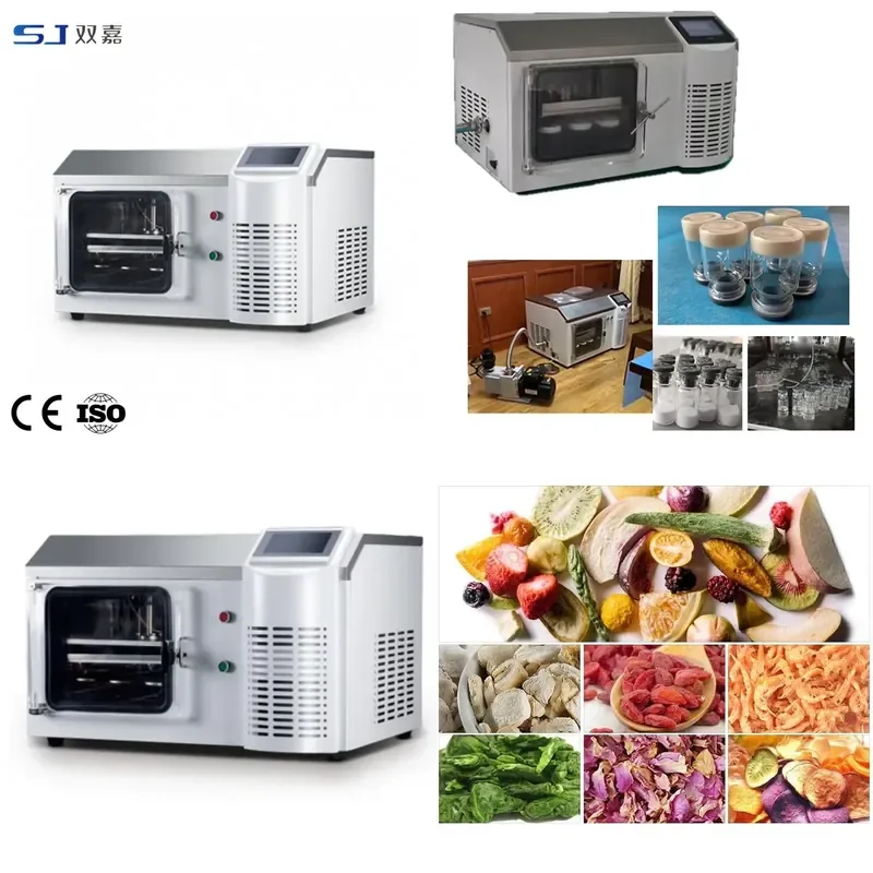 for SJ-5F Small Freeze Dryer Pilot Food Vacuum Freeze Drying Machine Laboratory Desktop Lyophilizer for Home Use
