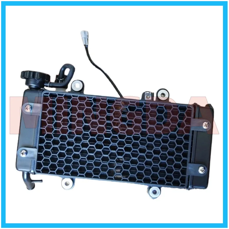 Water Tank Radiator Assembly for Lifan Lf150-14p/k19 American Style Water-cooled Version