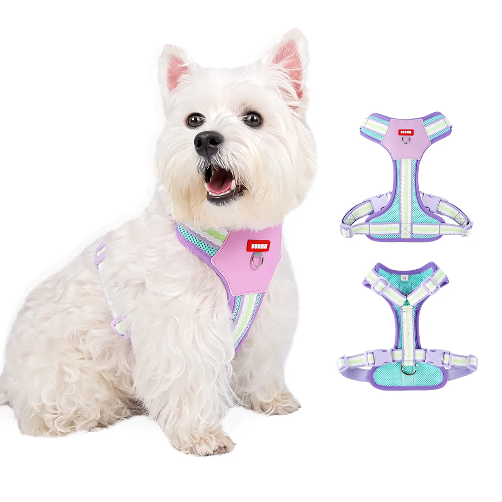 Color Block Harness For Small Dogs Breathable Mesh Pet Walking Lead_voghion.com