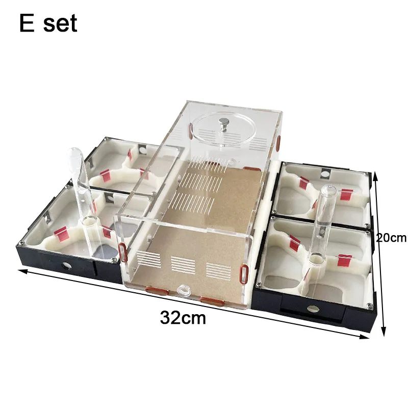 Unbegrenzte Expansion Ant Farm Acryl Ameisennest mit Fütterungsbereich Gips Pet Anthill Workshop Ameisenhaus Feuchtigkeitsspendender Wasserturm – Detail 5