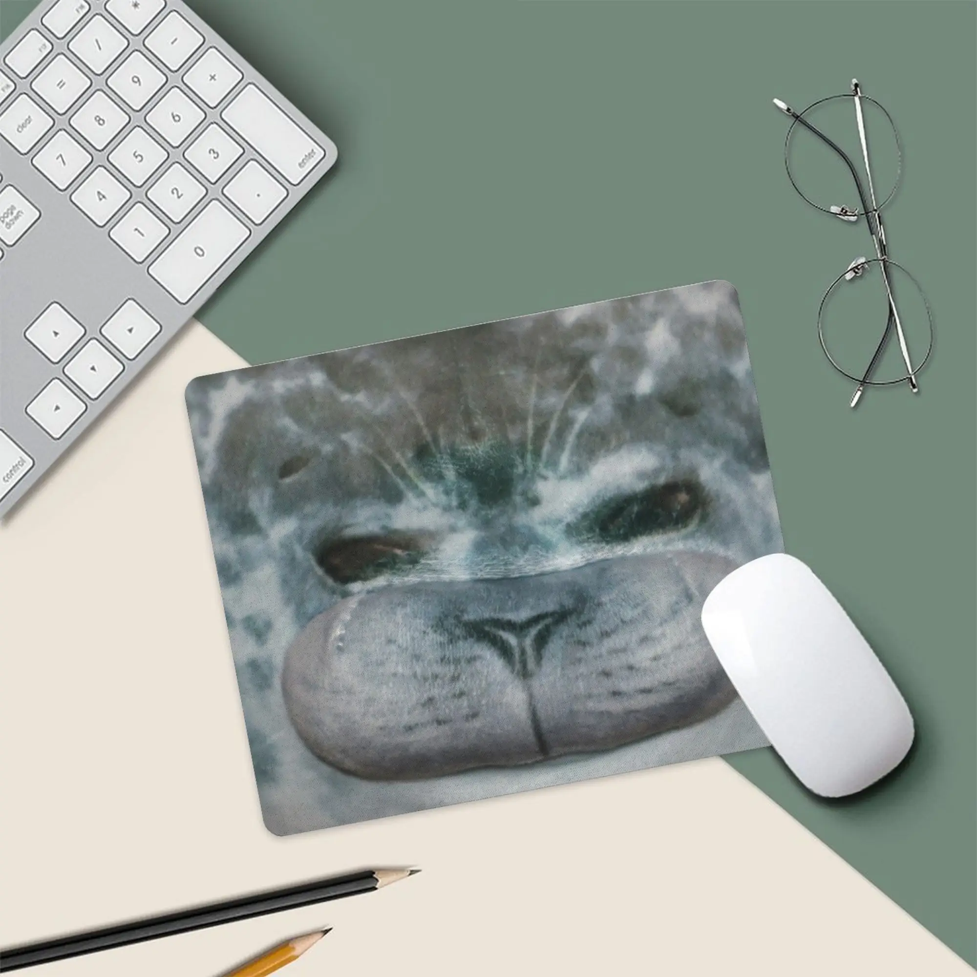 Small Mouse Pad, Non-slip, Stitched Edges, Realistic Cat Nose Close-up Print, Mat for Office & Gaming