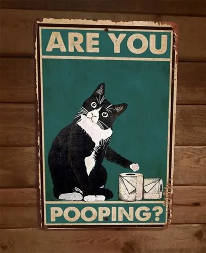 Are You Pooping Cat Toilet Paper  Metal Wall Sign Bathroom Animal Poster