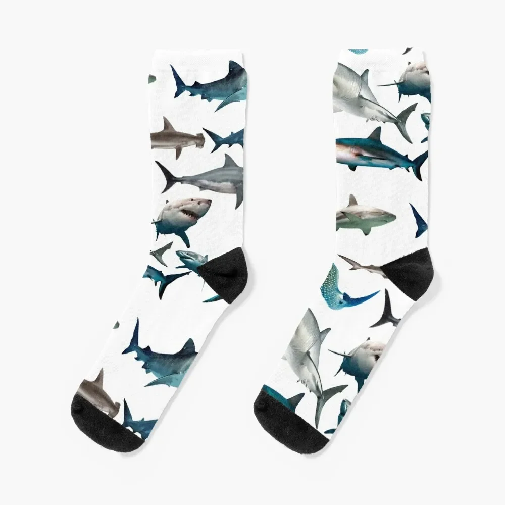 

Sharks Socks christmas gifts Stockings compression cotton compression Luxury Woman Socks Men's