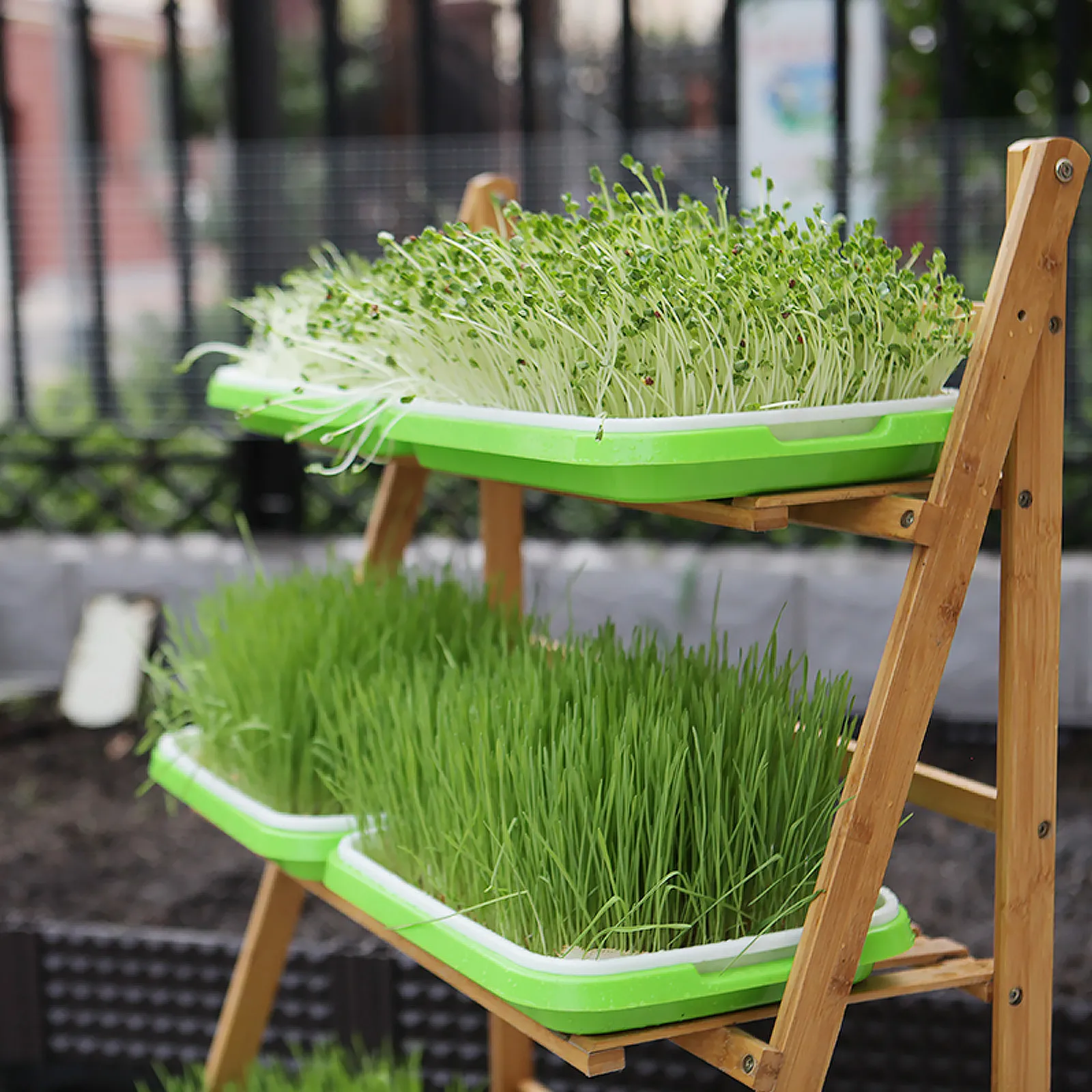 2Sets Multi-Function Sprouting Tray for Wheatgrass Cat Grass Mung Bean Seedlings Hydroponic Germination Plastic Plant Nursery