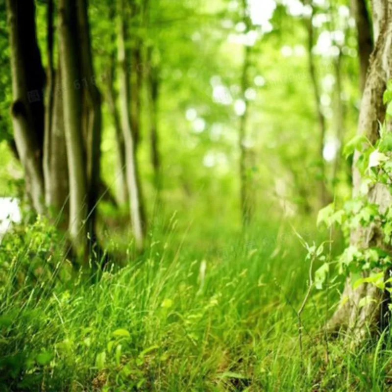 

Сертифицированный B-CUBE FCC RemoteID — отслеживание в реальном времени для Pixhawk 2.4.8 PRO 6C ArduRemoteID OpenDroneID Drone