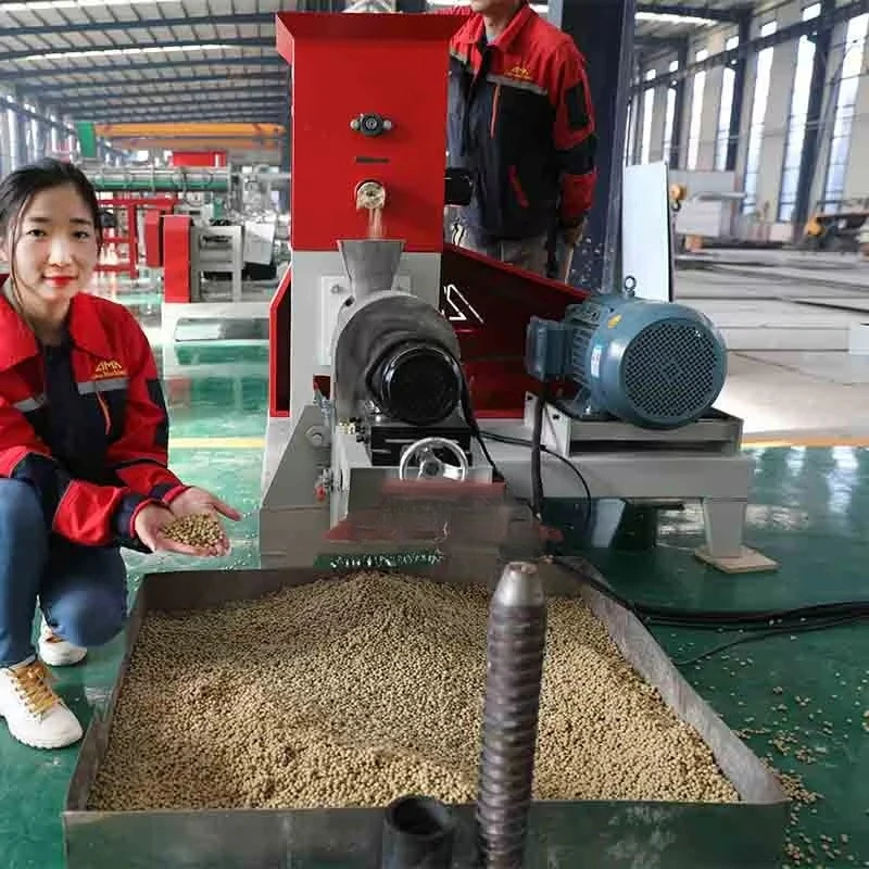 Fish Feed Production Line | Floating Fish Feed Pellet Making Machine | Sinking Fish Feed Extruder Machine