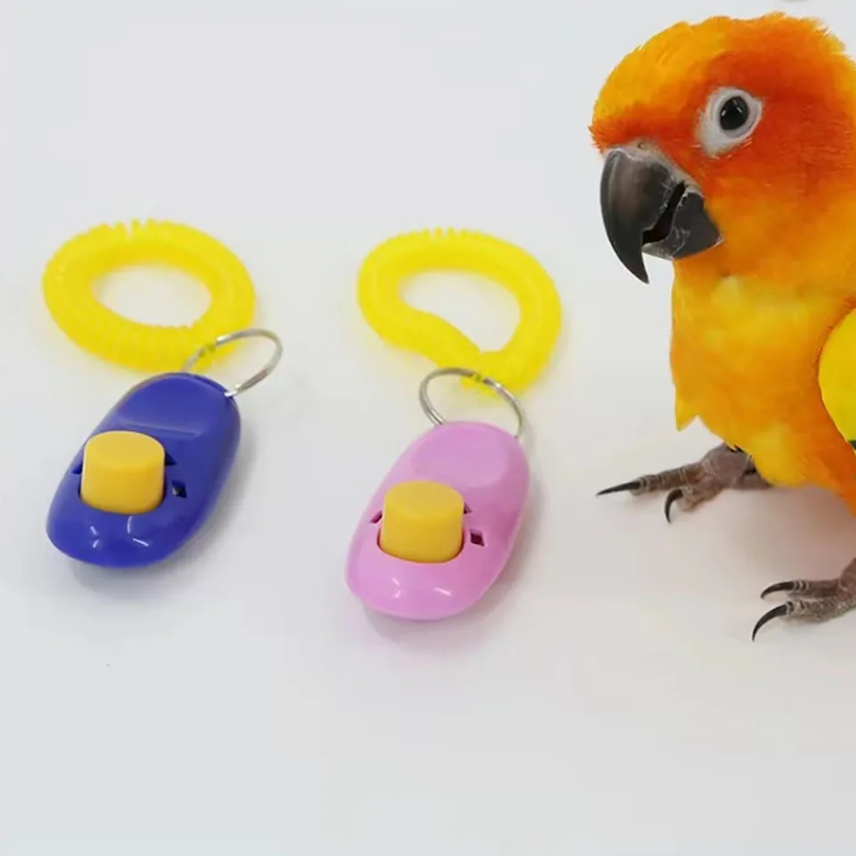 New Home Parrot Training Clicker Parrot Toy Training Educational Toys