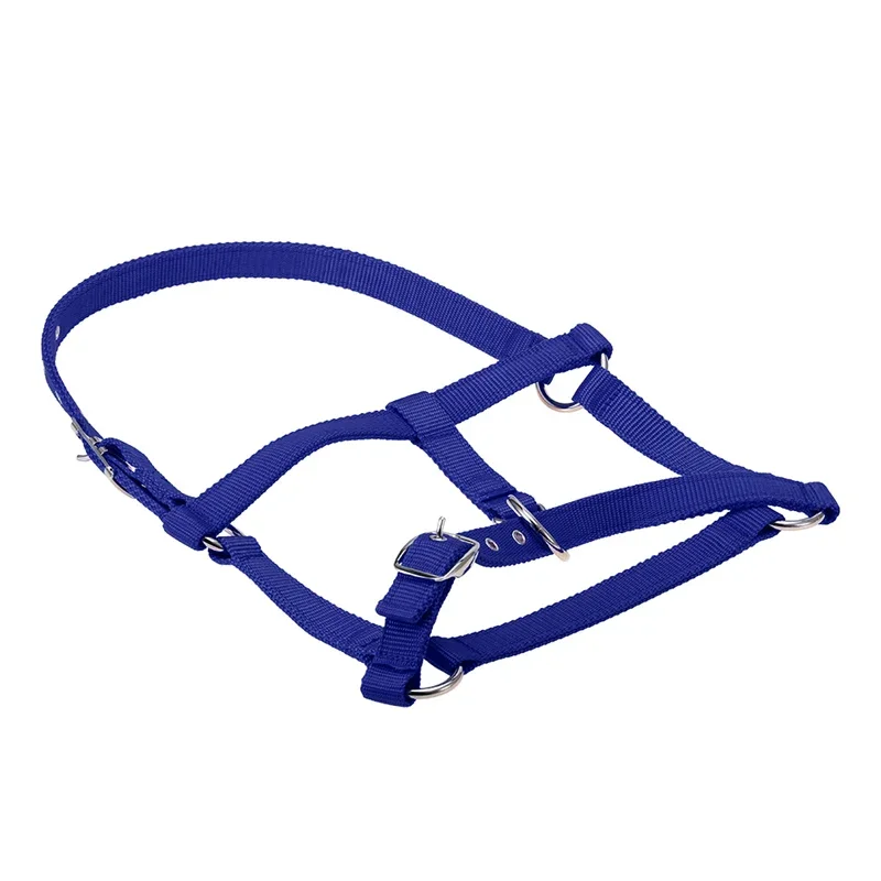 Durable Horse Head Collar Halter Thickened Horse Riding Bridle Horse Riding Equipment Halter Horse Accessories