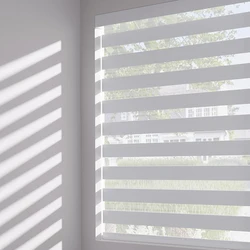 Motorized Window Blinds Square Cassette Zebra Blinds Light Filtering Roller Blinds Day and Night Curtains Blinds for Windows