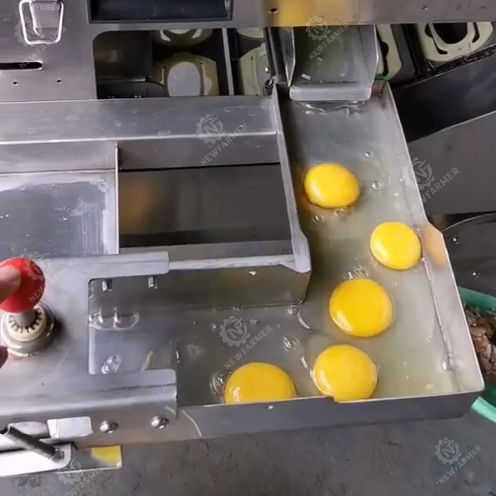 Industrial Egg Yolk Separator Machine Four Rows Egg Liquid Breaking Separator High Efficiency Egg Processing Equipment