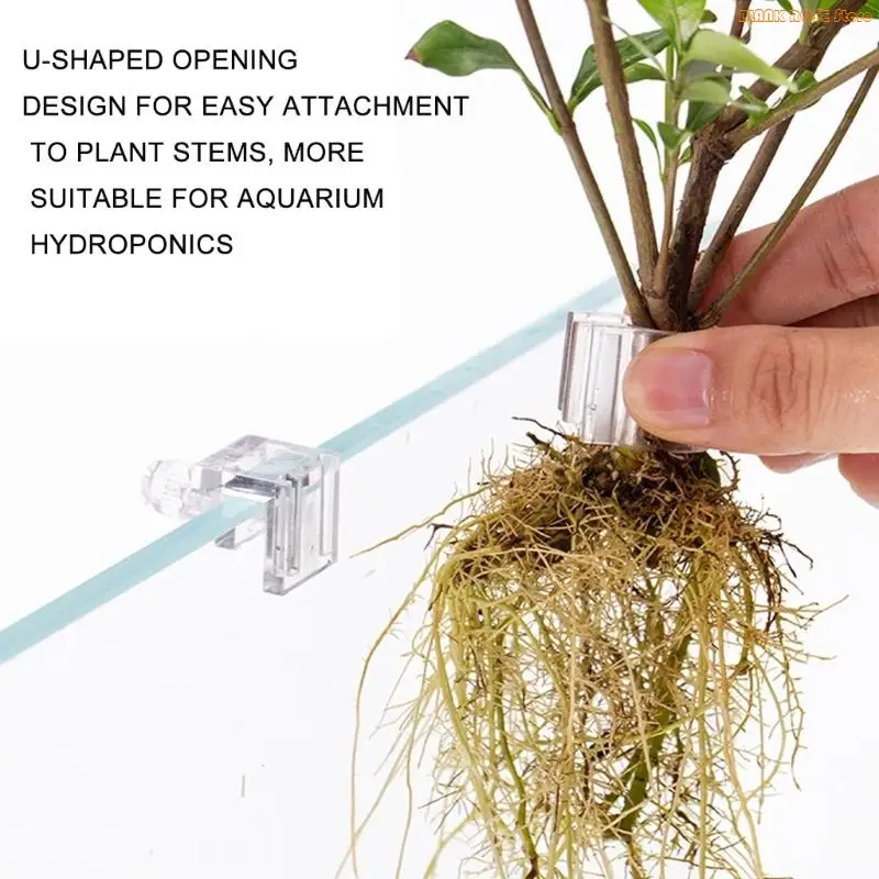 K1AE 6 Divisions Plant Propagation Stands for Aquariums Highlighting Distribution Split toe Root Health