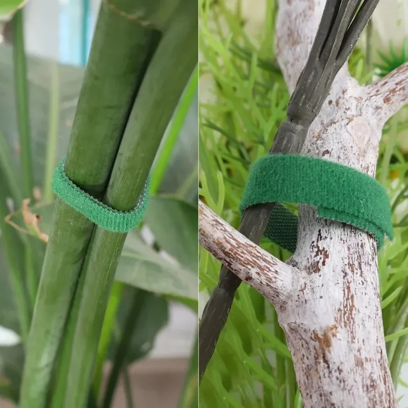 Self Adhesive Plant Nylon Cable Tie Green Adjustable Plants Hook Loop Support Garden Twine Bandage Reusable Fastener Tape Strips