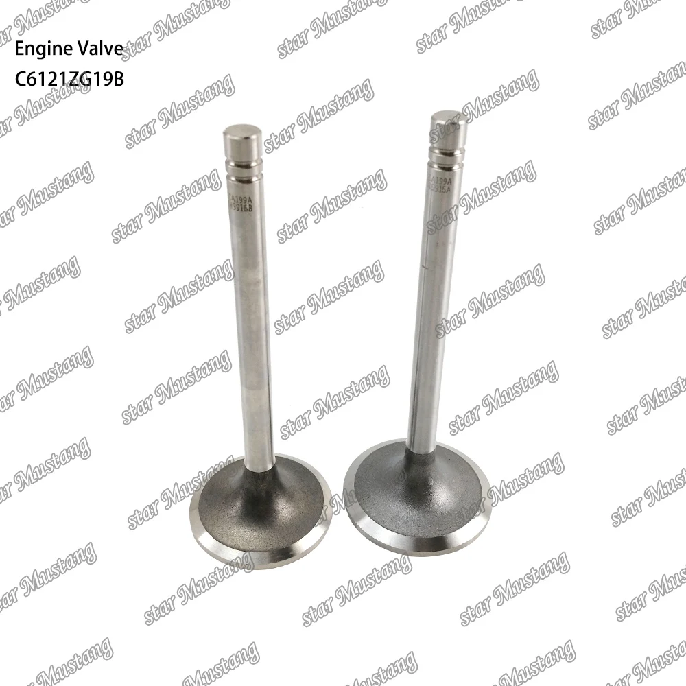 C6121ZG19B Engine Valve Suitable For Shang chai Engine Parts