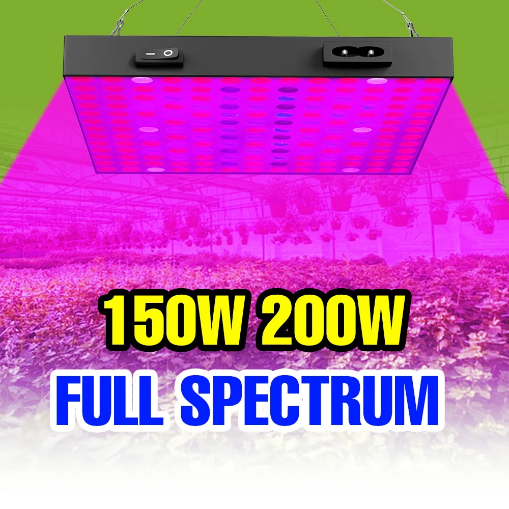 

200W LED Plant Grow Light Full Spectrum Indoor Hydroponics Fill Lamp AC100-277V Greenhouse Vegetable Fruits Cultivation Lighting